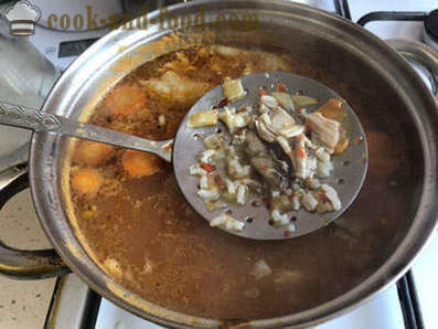 Wie kochen Suppe mit Huhn kharcho
