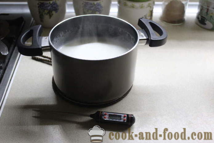 Selbst gemachter Joghurt aus Milch gären - wie Joghurt zu Hause, Schritt für Schritt Rezept Fotos zu machen