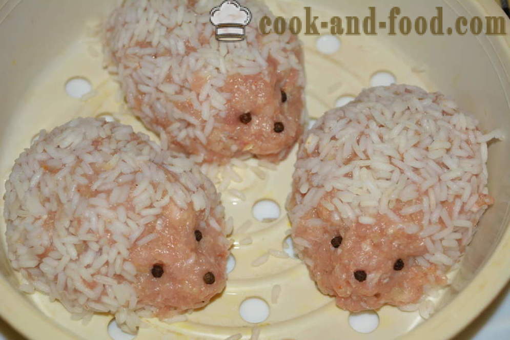 Hedgehogs schmackhaft Hackfleisch mit Reis für ein paar - wie man kocht Fleisch mit Reis Igeln in multivarka, Schritt für Schritt Rezept Fotos