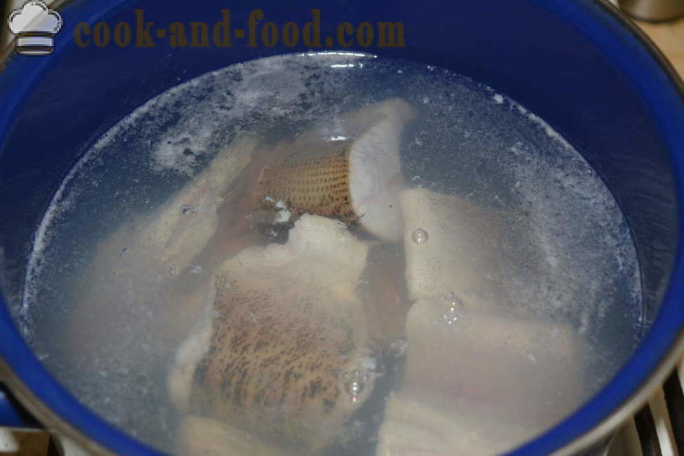 Köstliche Suppe aus Hecht in der Heimat - wie Fischsuppe aus einem Spieß zu kochen, einen Schritt für Schritt Rezept Fotos