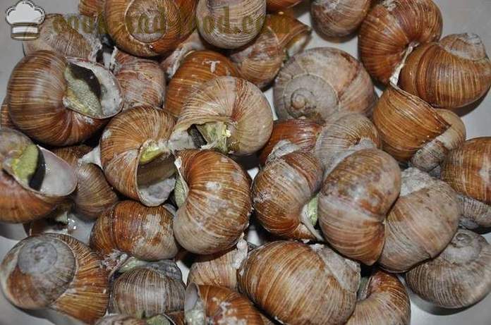 Herstellung von Schnecken zu Hause - wie Schnecken leckeres Rezept mit einem Foto vorzubereiten