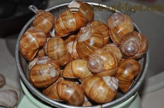 Herstellung von Schnecken zu Hause - wie Schnecken leckeres Rezept mit einem Foto vorzubereiten