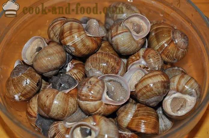 Herstellung von Schnecken zu Hause - wie Schnecken leckeres Rezept mit einem Foto vorzubereiten