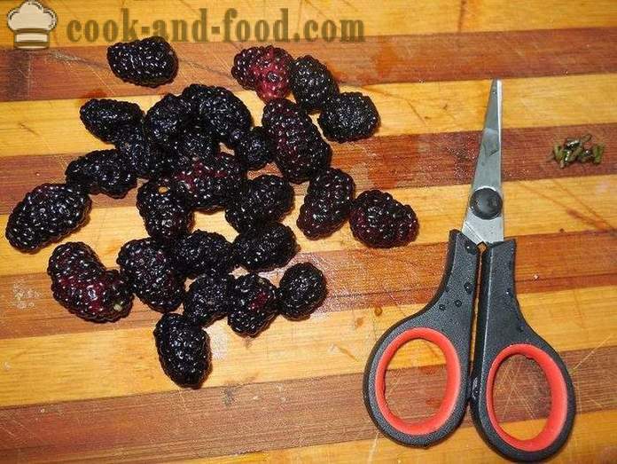 Fruchtgelee Johannisbeere Beeren, Maulbeeren, Aprikosen und Stärke - wie man kocht Gelee Beeren und Stärke, mit einem Schritt für Schritt Rezept Fotos