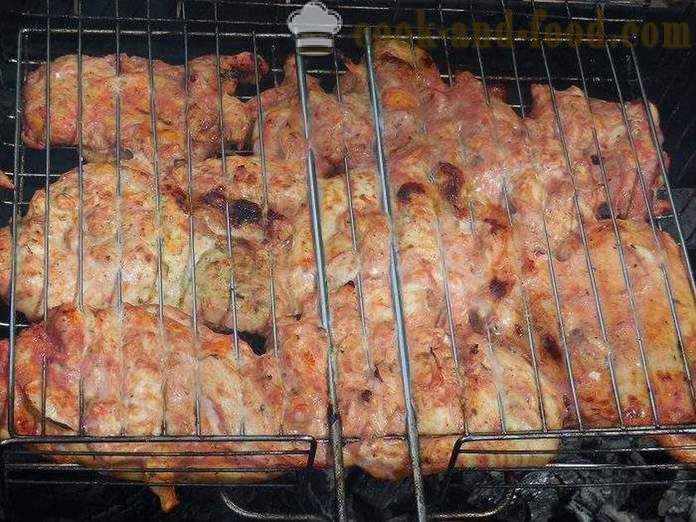 Barbecue Hähnchen auf dem Grill - lecker und saftig Spieße mit Huhn in Tomatensoße - Schritt für Schritt Rezept Fotos